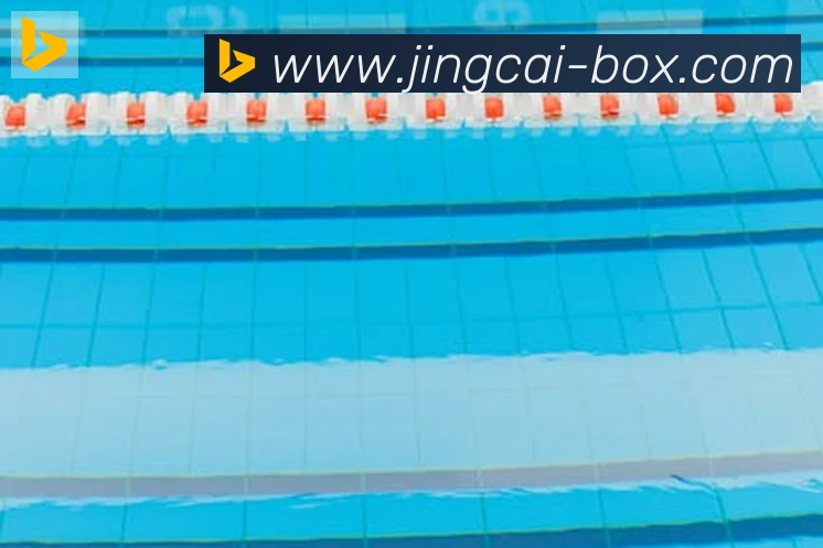 App Interface Preview